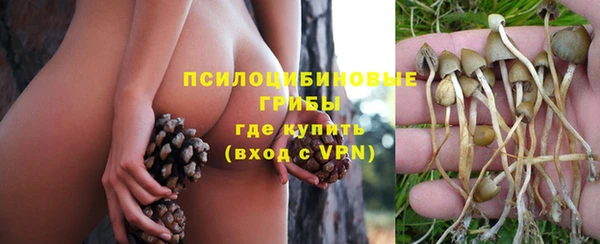 скорость Инта