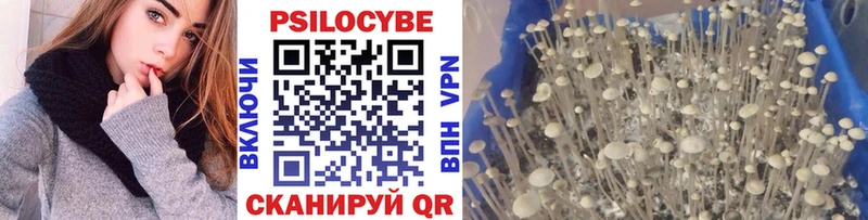 Псилоцибиновые грибы GOLDEN TEACHER  Кашира 