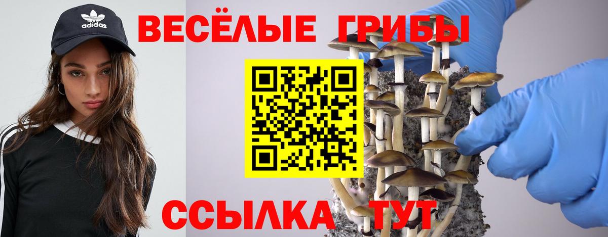 Псилоцибиновые грибы Cubensis  Галлюциногенные грибы Psilocybe  Кашира  Вход с VPN 