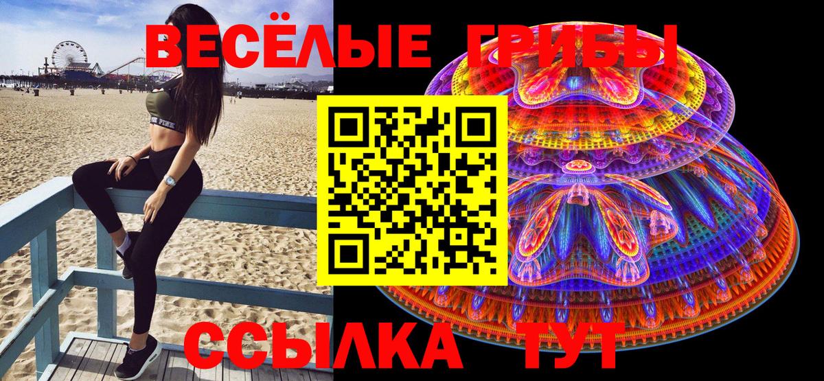 Где купить  Меф МЯУ МЯУ кристаллы  МЕТАДОН  Кашира  Лсд 25  КОКАИН  Гашиш  Бошки Шишки  Вход с VPN  Канабис 